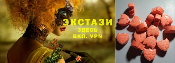 ECSTASY Богданович