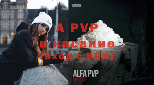 ECSTASY Богданович