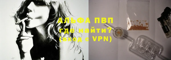 ECSTASY Богданович