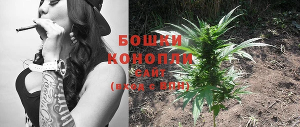соль ск Богородицк