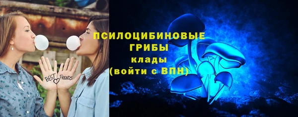 соль ск Богородицк